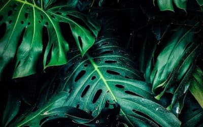 5 Λόγοι για να αντιμετωπίσετε τα παράσιτα