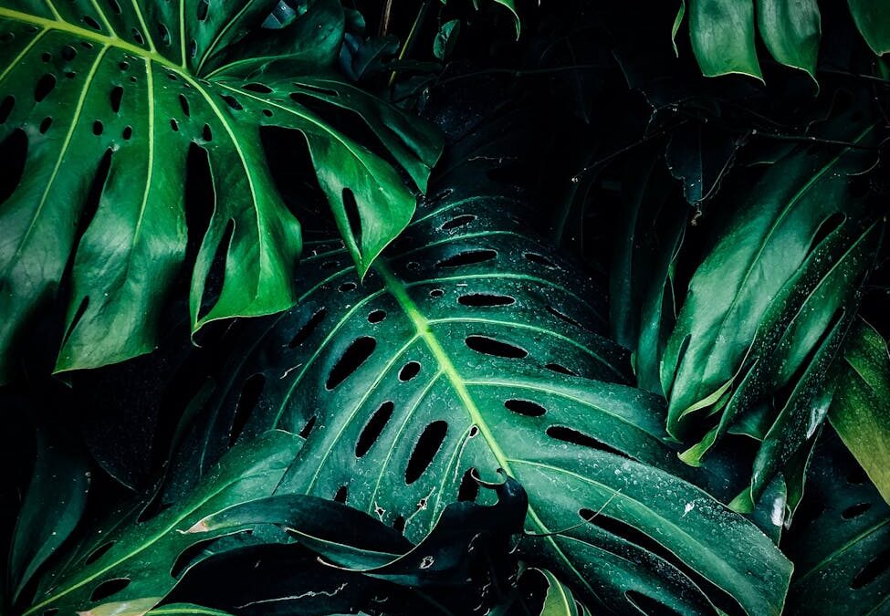 5 Λόγοι για να αντιμετωπίσετε τα παράσιτα