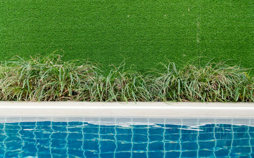 Καθαρισμός Οικοπέδων για Επιχειρήσεις: Μια Επένδυση με Μέλλον!