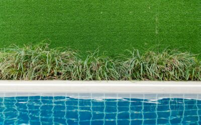 Καθαρισμός Οικοπέδων για Επιχειρήσεις: Μια Επένδυση με Μέλλον!