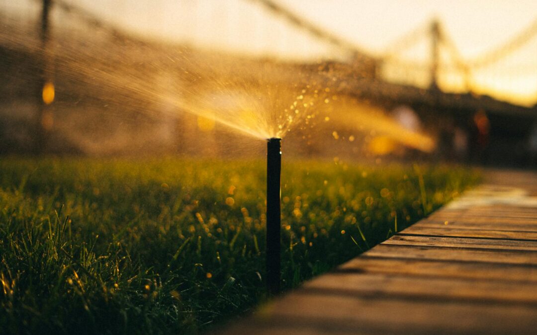 8 Πλεονεκτήματα Αυτόματου Ποτίσματος